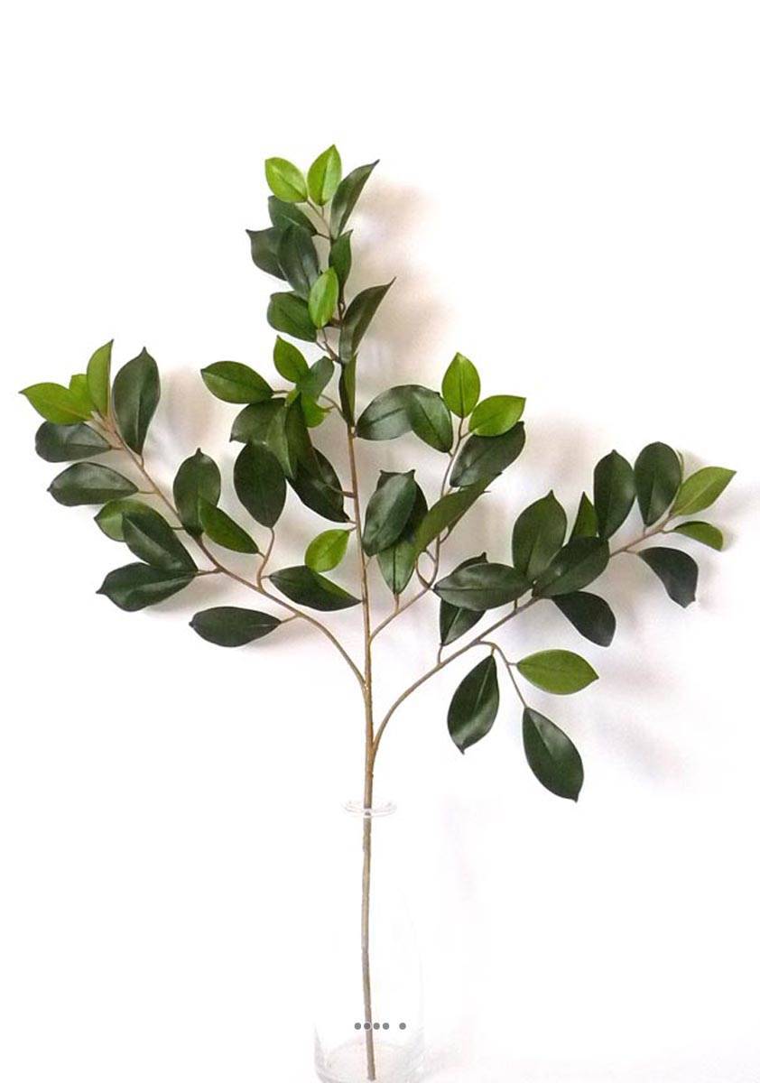 Artificielles - Branche de ficus artifiel Retusa H 65 cm