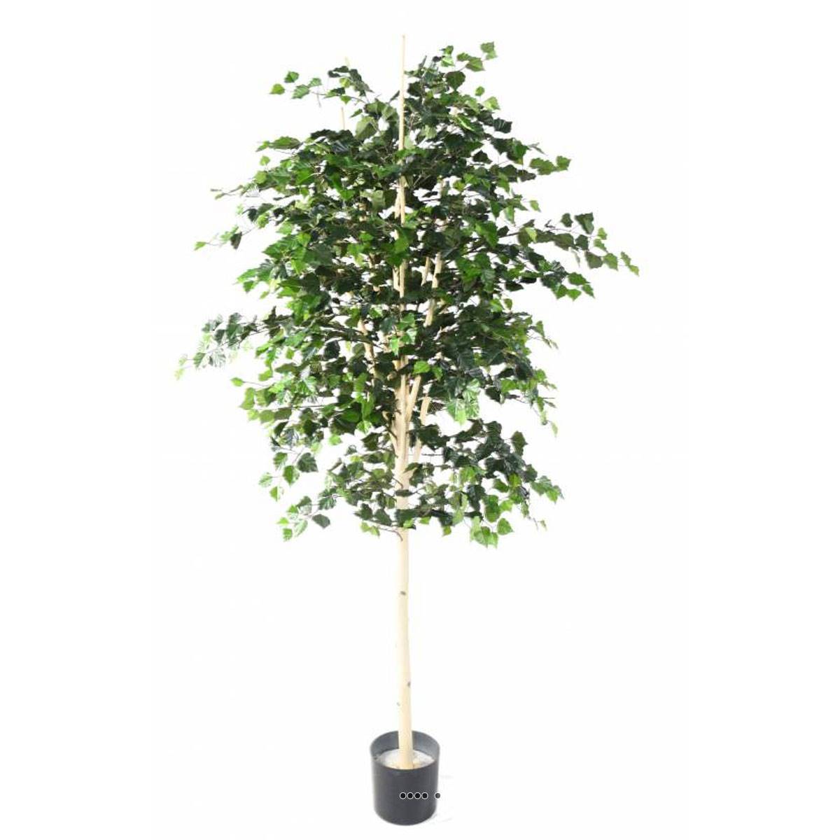 Artificielles - Bouleau artificiel en pot, H 210 cm, D 105 cm, feuillage vert