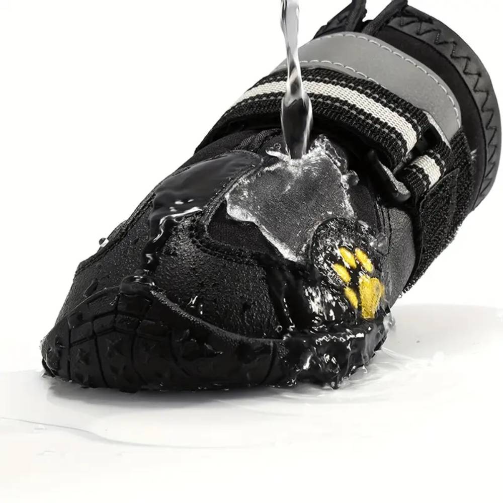 Bottes de protection pour chien s - IntiMeg - Image 2