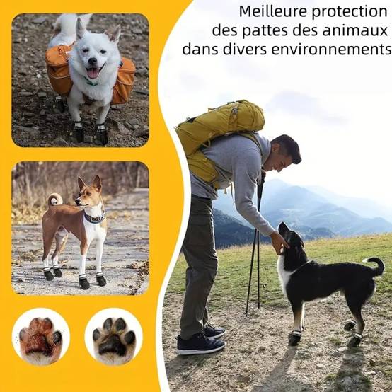 Bottes de protection pour chien s - IntiMeg - Image 3
