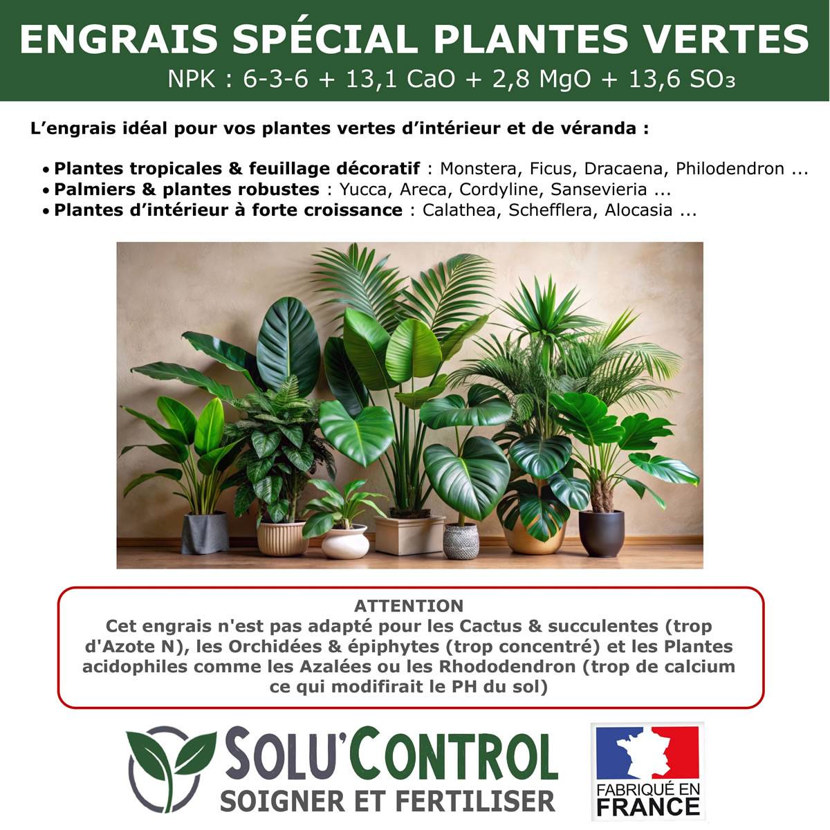 Tout pour les nuisibles - SOLU’CONTROL - 500 g Engrais Spécial Plantes Vertes 6-3-6 - Croissance, Feuillage Dense & Vitalité - Formulation Organo-Minerale - Image 5