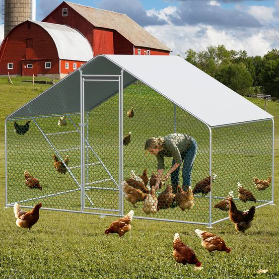 Enclos poulailler 6m² parc grillagé acier galvanisé pour poules protection plein air 3x2m - ComfortXL Outdoor Living - Image 1