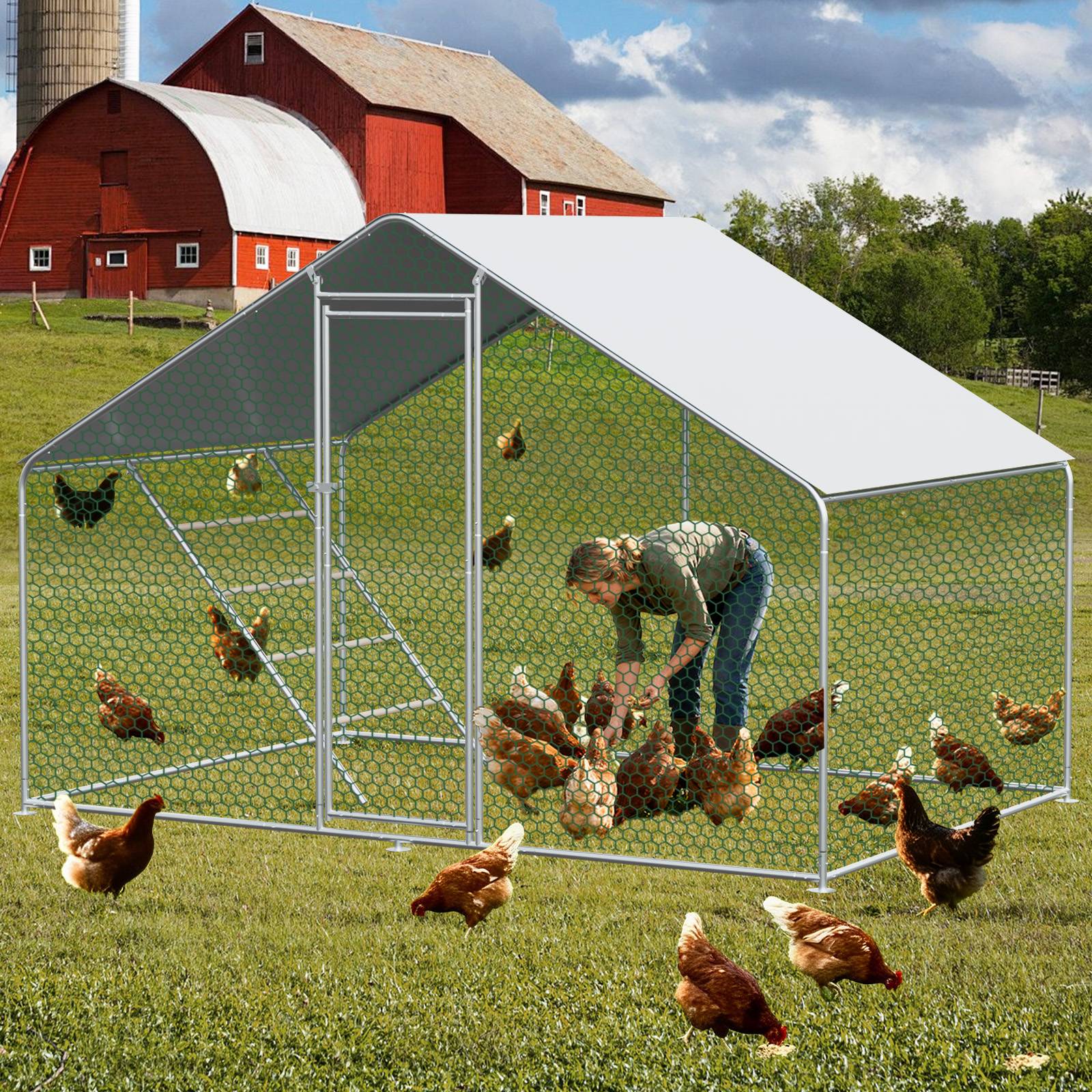 Enclos poulailler 6m² parc grillagé acier galvanisé pour poules protection plein air 3x2m - ComfortXL Outdoor Living - Image 1