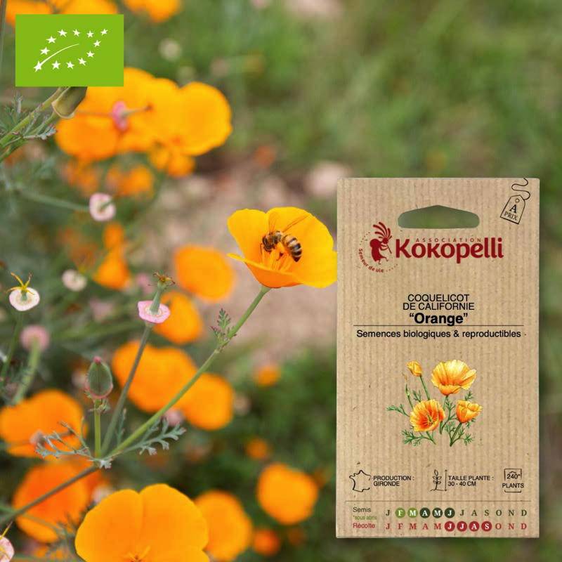 Coquelicot De Californie Orange- Graines bio à semer - Imagen 1
