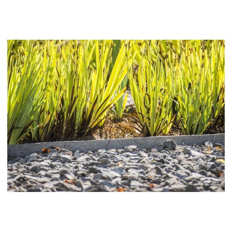 Ecolat Bordure de jardin H.14 cm rouleau - Gris 2000 - ECOO - Imagen 6