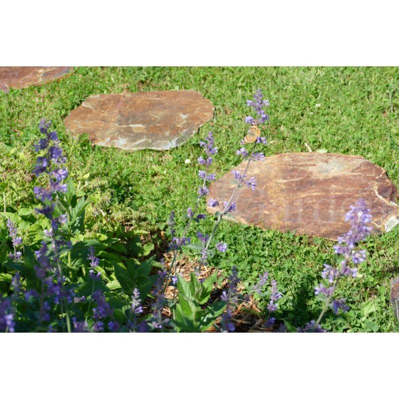 Pas Japonais Ardoise CORTEN Irrégulier - Pack de 10 pièces - Image 5