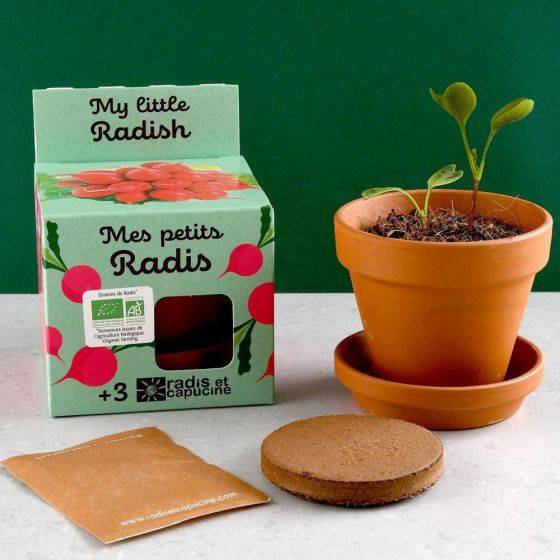 Radis et Capucine - Radis et Capucine - Kit plantation - Radis bio - 8cm - Imagen 2