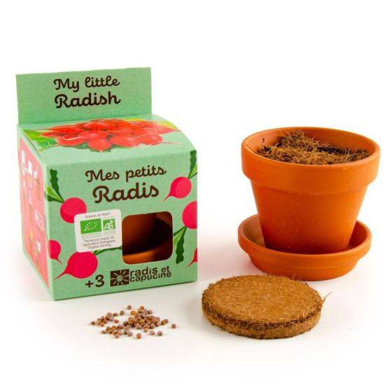 Radis et Capucine - Radis et Capucine - Kit plantation - Radis bio - 8cm - Imagen 3