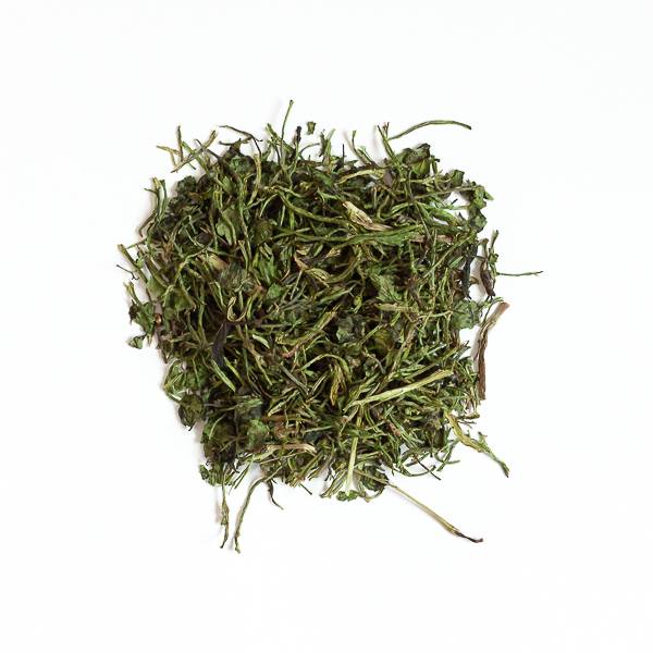 Coriandre - 50 g - L'Eden des Pattounes