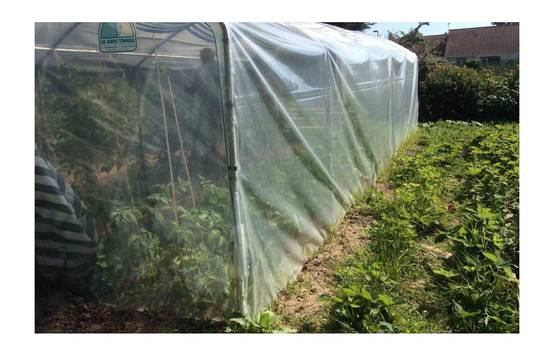 Serre tunnel de jardin - 27m² - 3 x 9 m - pieds droits - haute résistance à petit prix - LES SERRES TONNEAU - Image 3