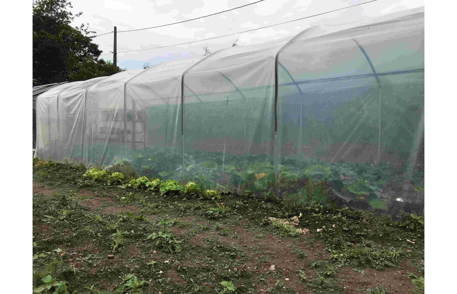 Serre tunnel de jardin - 27m² -  3 x 9 m - pieds droits - haute résistance à petit prix - LES SERRES TONNEAU - Image 4