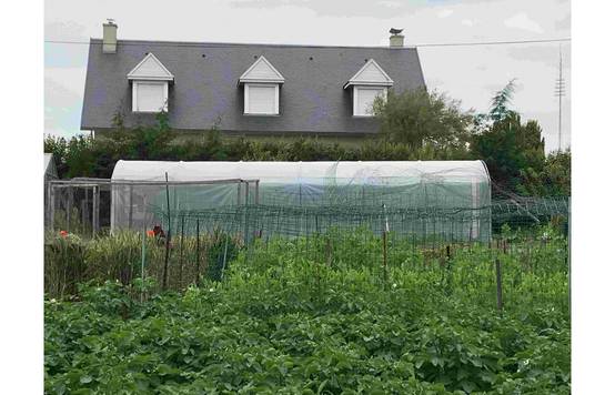 Serre tunnel de jardin - 27m² - 3 x 9 m - pieds droits - haute résistance à petit prix - LES SERRES TONNEAU - Image 5