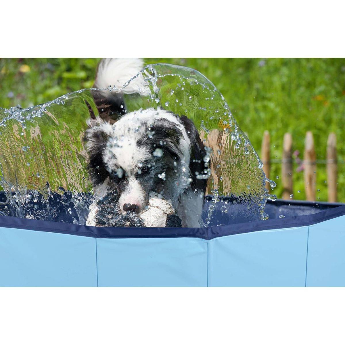Piscine pour Chien PVC Ø 80 x 30 Cm Sol Antidérapant Jeu d'eau pour Animaux KZ GARDEN - Imagen 3