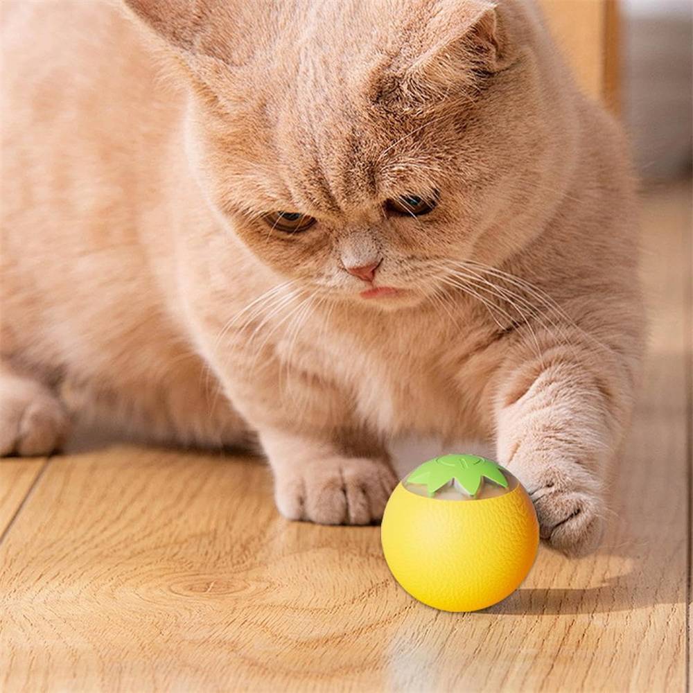 DtopbuyAge - Balle interactive pour chien et chat(jaune) DtopbuyAge - Image 4