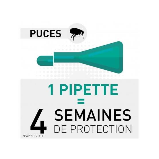 Frontline - FRONTLINE CHAT SPOT ON - BOEHRINGER 1 pipette - Image 3