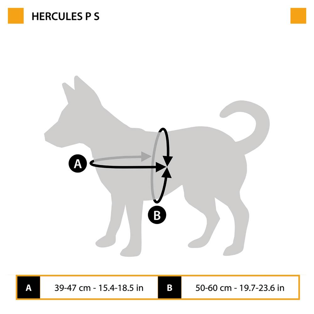 Ferplast - Harnais pour Chiens HERCULES SMALL, Rembourré, Résistant, Anti-griffures, Visible dans l'Obscurité, avec Poignée - Imagen 2