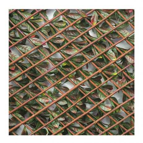 James Grass - France Green - Treillis extensible feuillage photinia, Long 24 m, Hauteur 1 m - Imagen 2
