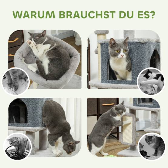 Arbre à chat sisal et peluche gris clair 44 x 34 x 104 cm - PANGIVO - Image 9