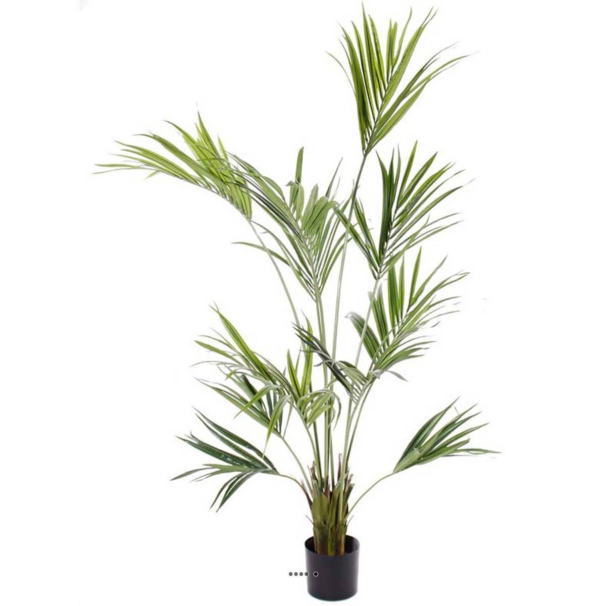 Artificielles - Palmier Kentia Artificiel Howea H 180 cm 192 feuilles en pot - dimhaut: H 180 cm - couleur: Vert