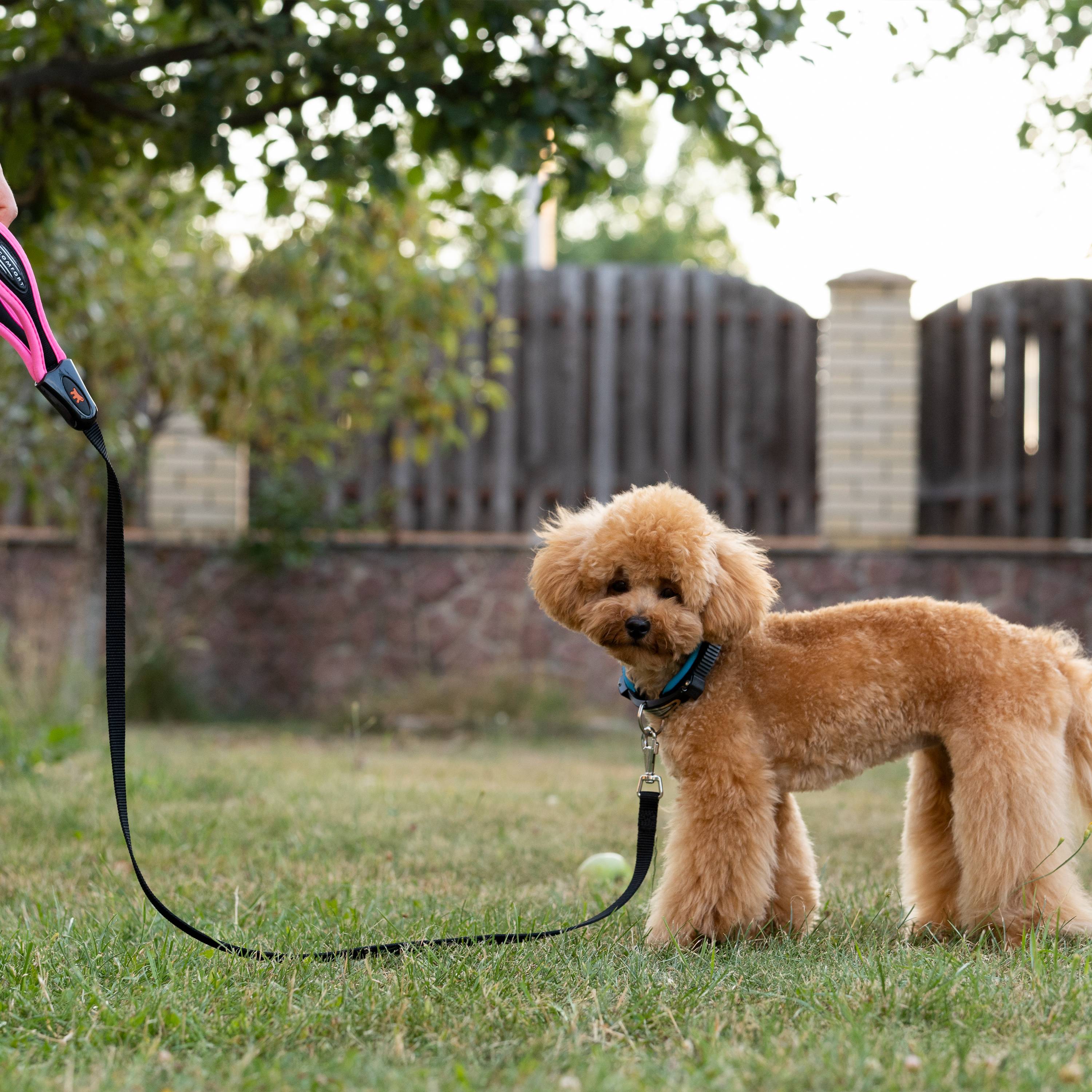 Ferplast - Ferplast laisse pour chien ERGOFLUO, laisse pour petit chien, poignée ergonomique rembourrée, nylon. Taille 120 cm, Rose - Imagen 3