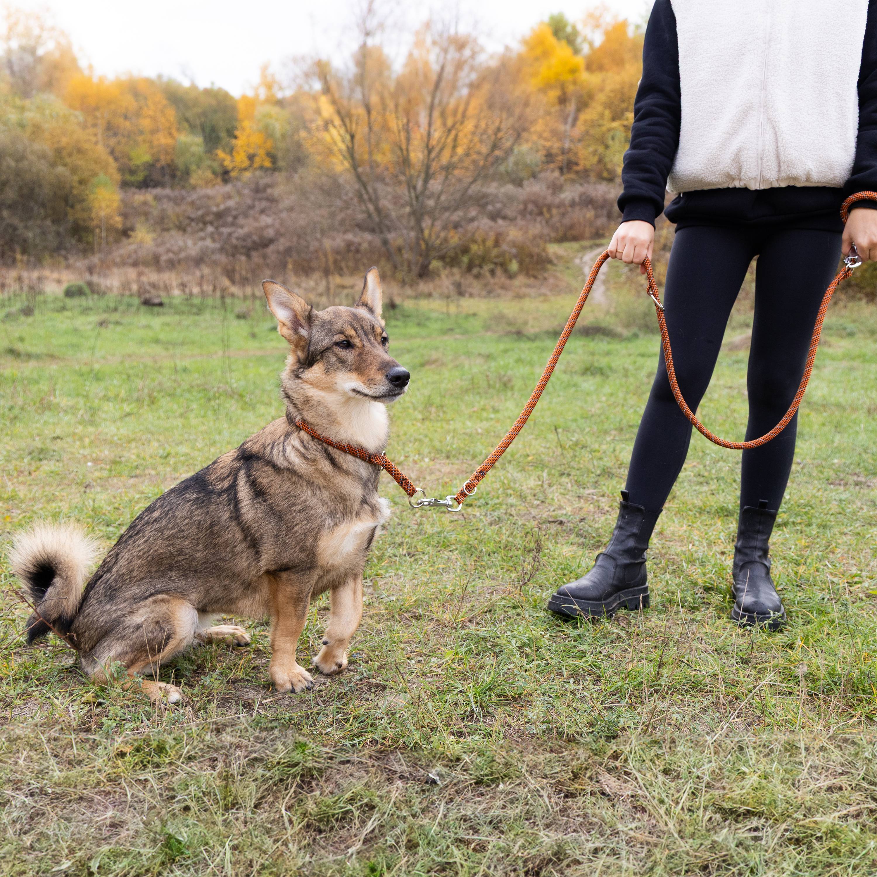 Ferplast - Ferplast Laisse Chien SPORT REFLEX, Laisse Dressage, Laisse réfléchissante, Laisse pour chien en cordon en nylon, avec double mousqueton en métal, - Imagen 3