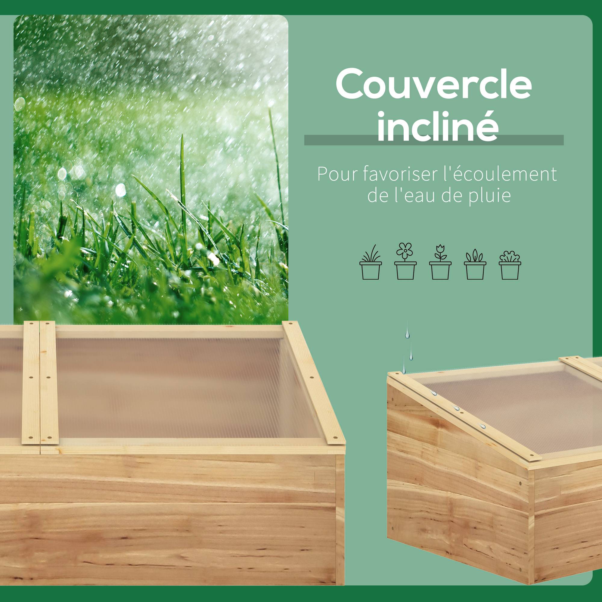 Outsunny - Mini Serre de Jardin pour semis 100x50x36 cm Toit 2 pans ouvrables séparément Polycarbonate Bois Sapin pré-huilé - Outsunny - Image 5