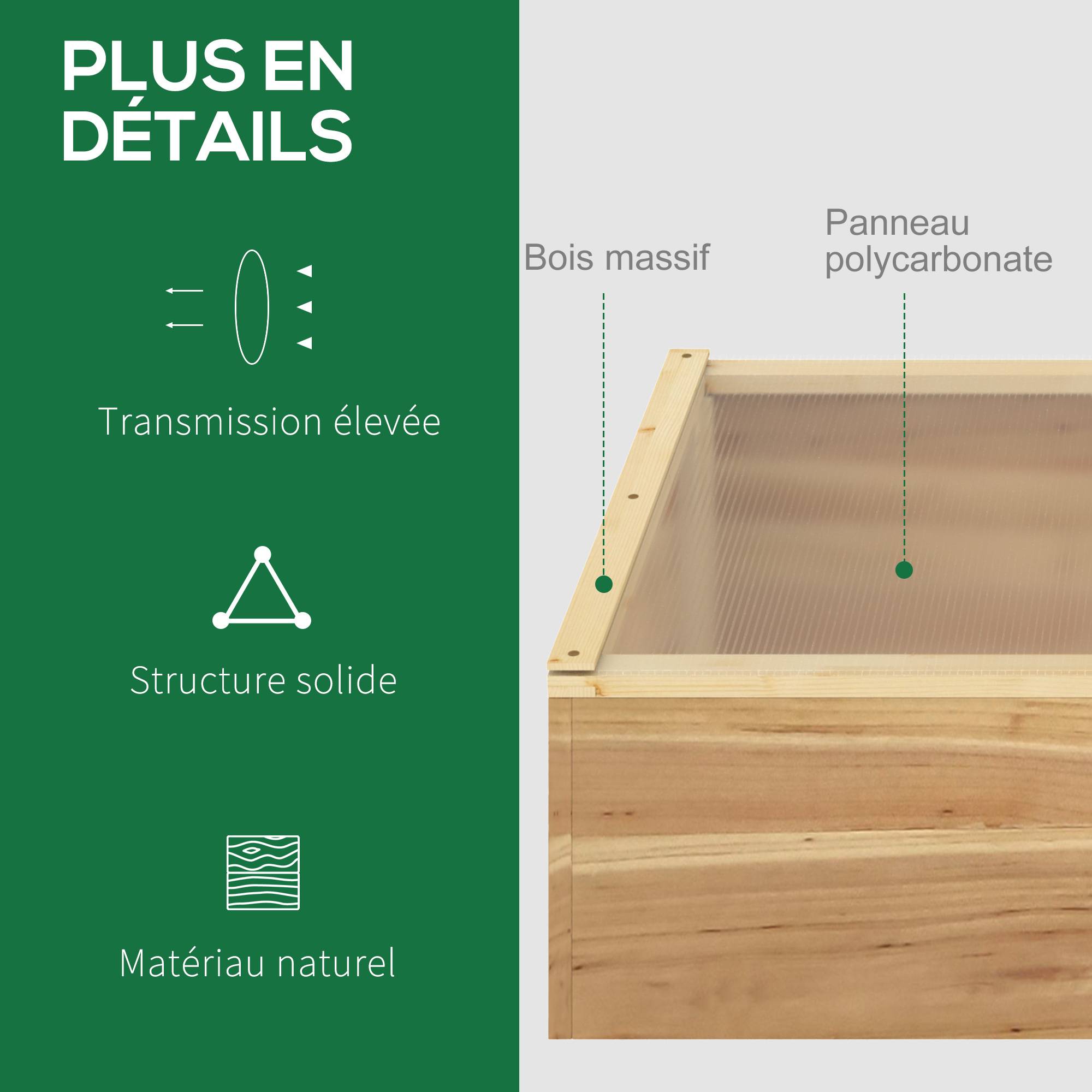 Outsunny - Mini Serre de Jardin pour semis 100x50x36 cm Toit 2 pans ouvrables séparément Polycarbonate Bois Sapin pré-huilé - Outsunny - Image 6