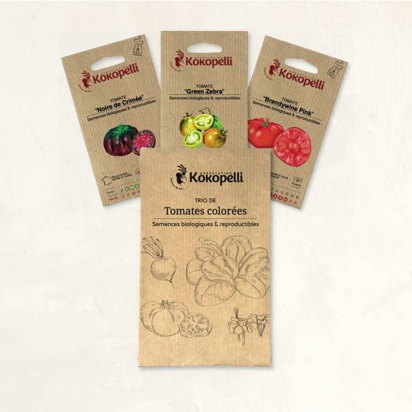Tomates colorées - 3 sachets de graines bio à semer - Imagen 2