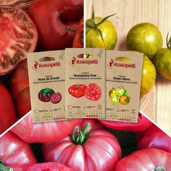 Tomates colorées - 3 sachets de graines bio à semer - Image 1