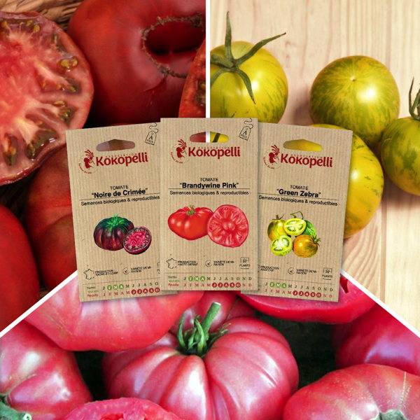Tomates colorées - 3 sachets de graines bio à semer - Imagen 1