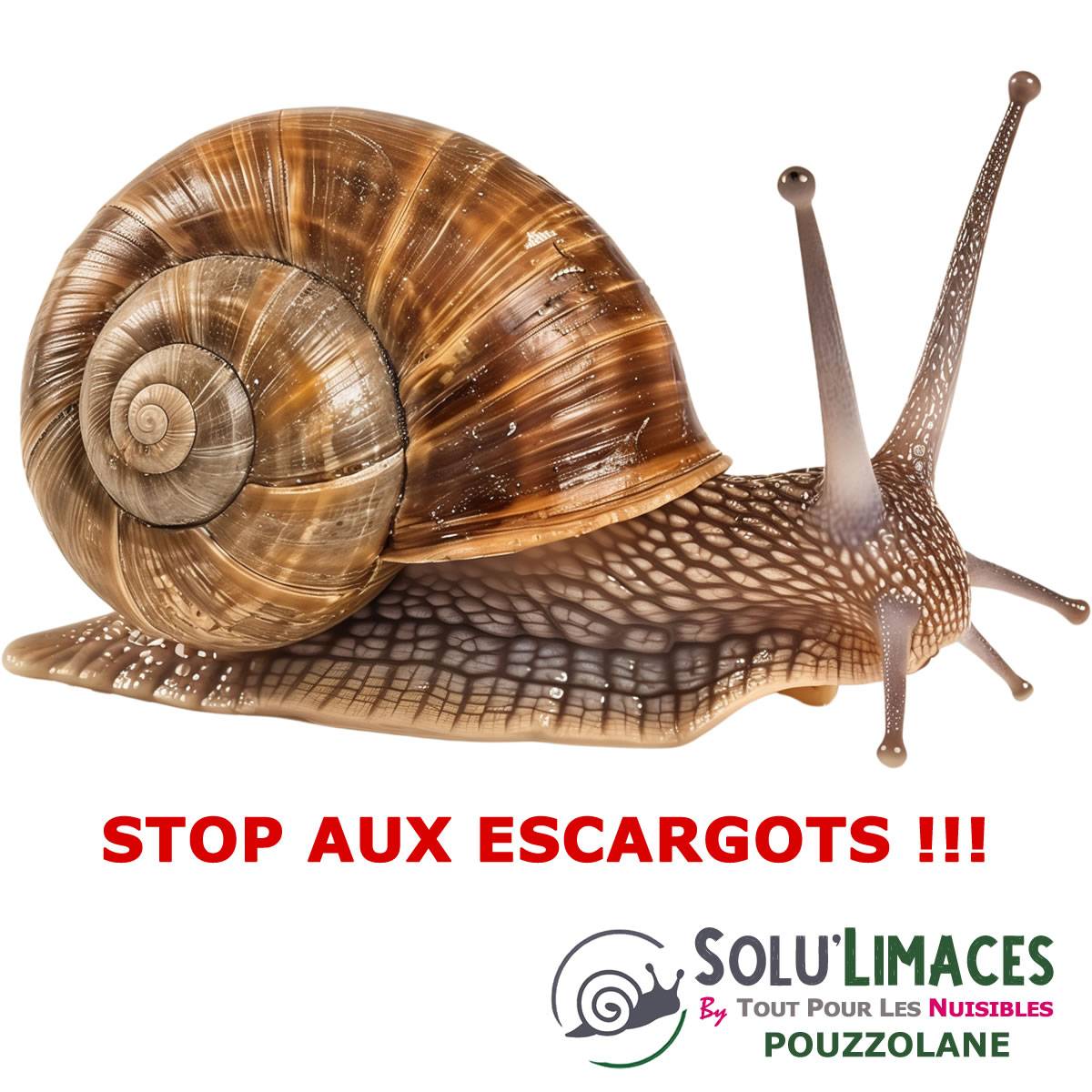 SOLU'LIMACES - POUZZOLANE 3 kg - Barrière Anti Limaces, Escargots et autres gasteropodes - Image 5