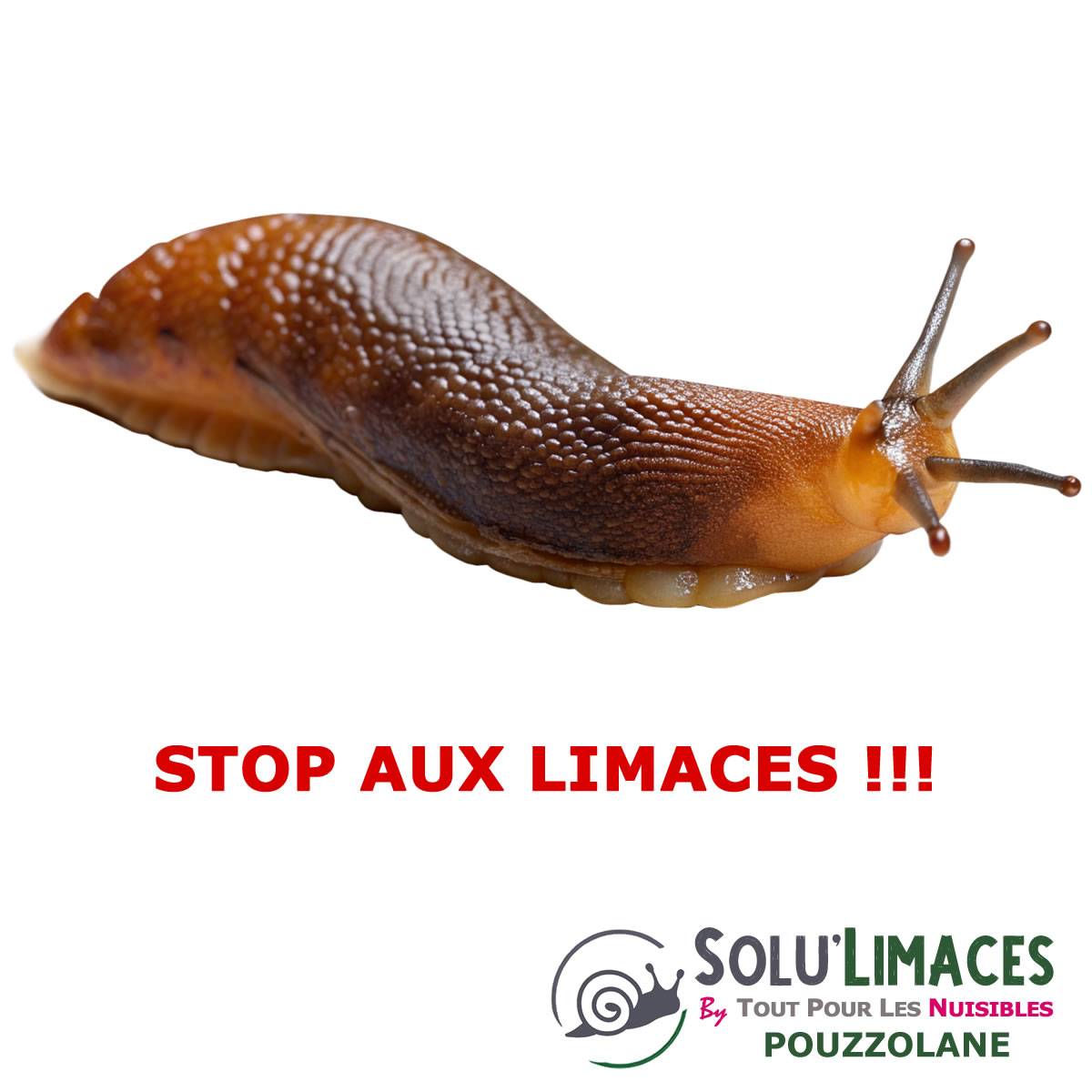SOLU'LIMACES - POUZZOLANE 3 kg - Barrière Anti Limaces, Escargots et autres gasteropodes - Image 4