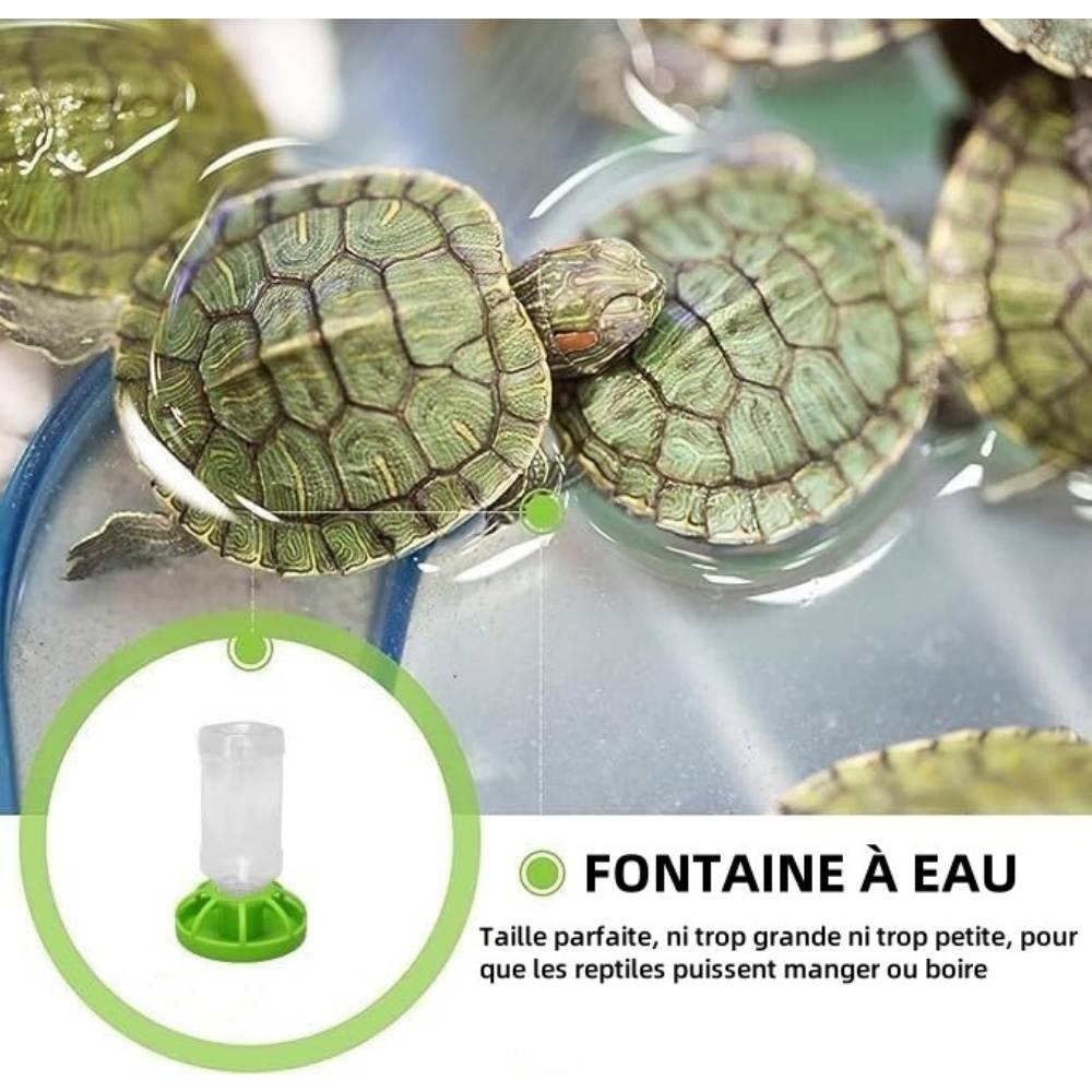 Distributeur D'eau Avec Bouteille Pour Reptiles - Lytech - Jardiland