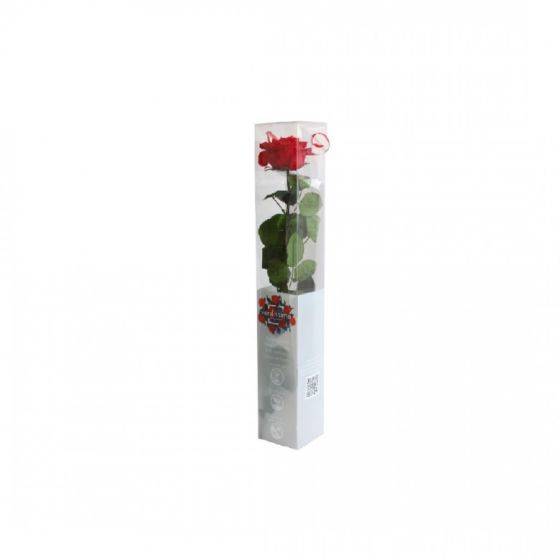 Naturalys - Naturalys - Coffret rose premium Rouge
