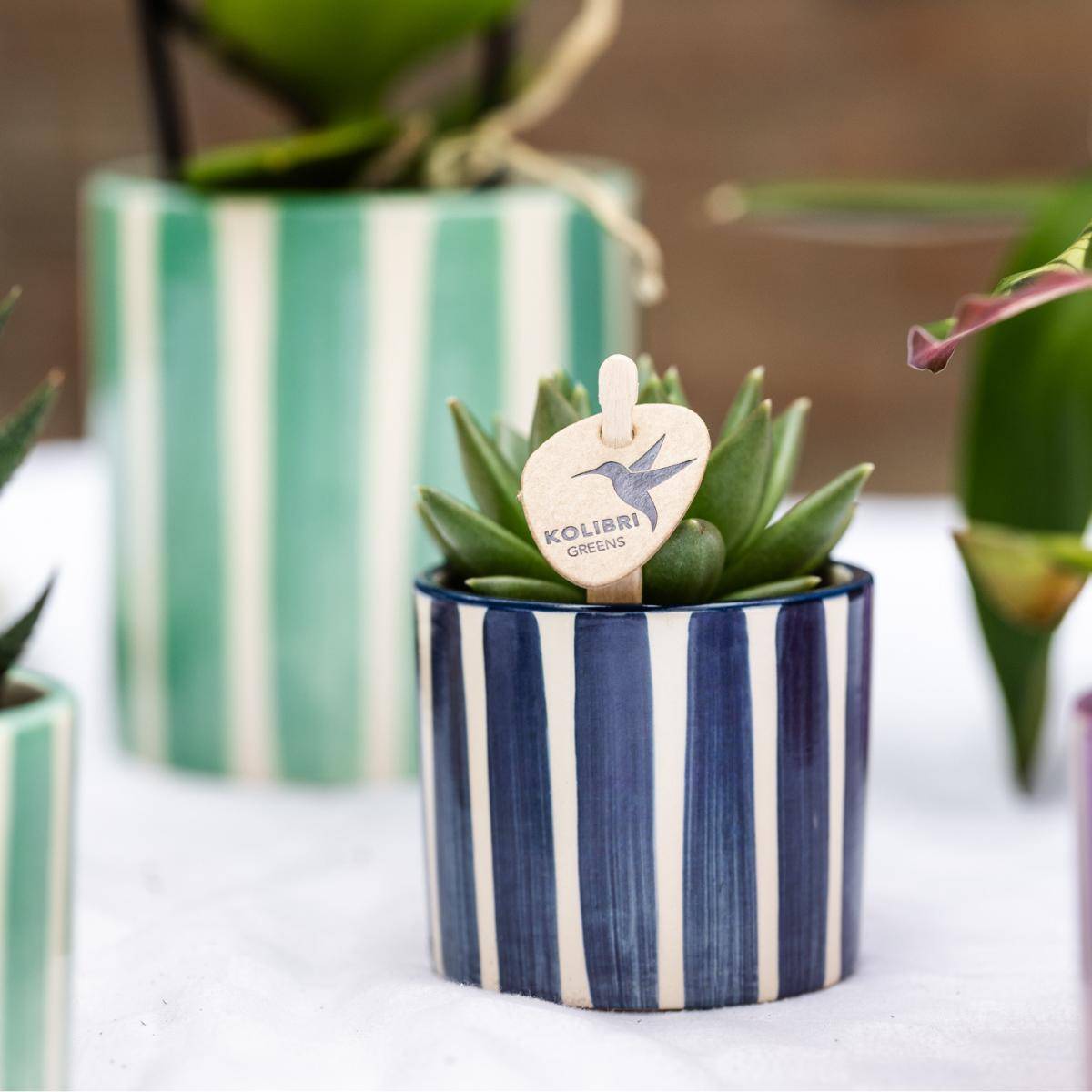Pot décoratif Painted Stripe - Bleu- La Green Touch - Imagen 2