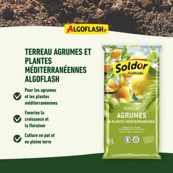 Algoflash - Algoflash - Terreau Agrumes Et Plantes Mediterraneennes 6 L - Imagen 3