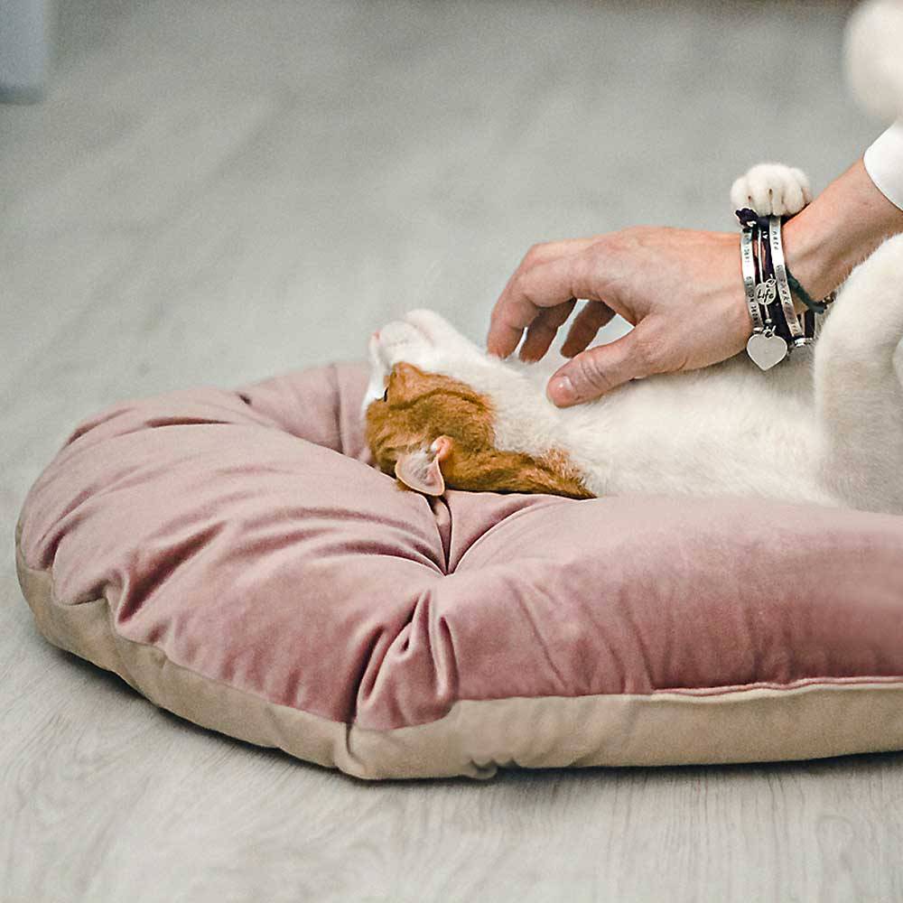 Ferplast - Ferplast coussin pour chiens et chats PRINCE 65/6, petit lit rembourré pour animaux, double-face, 65x42 cm, rose - Imagen 4