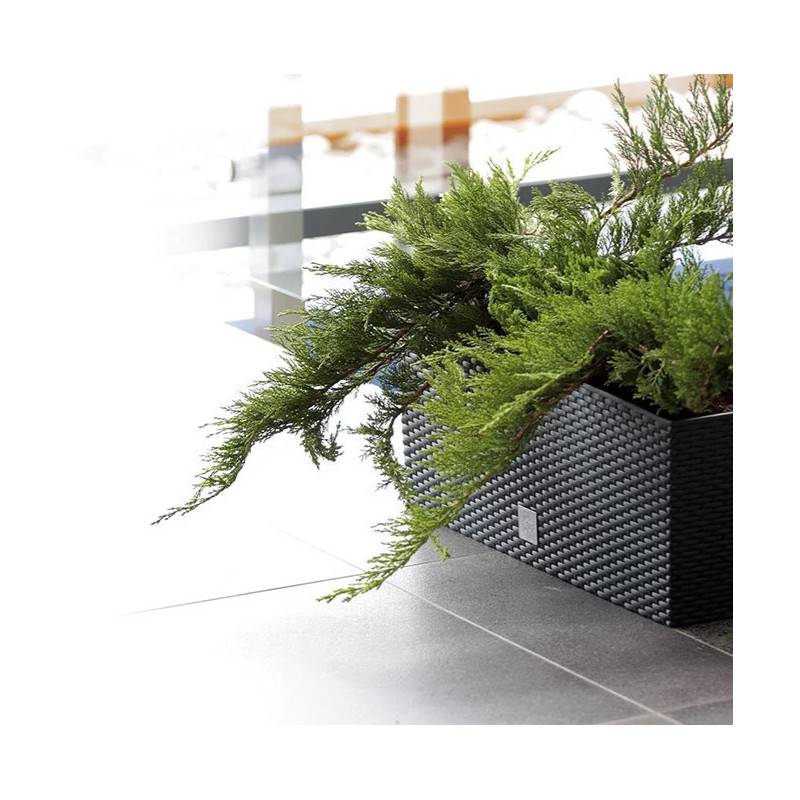 Lem Select - Jardinière RATO Tressé Anthracite - 17L - Longueur 50cm - Imagen 2