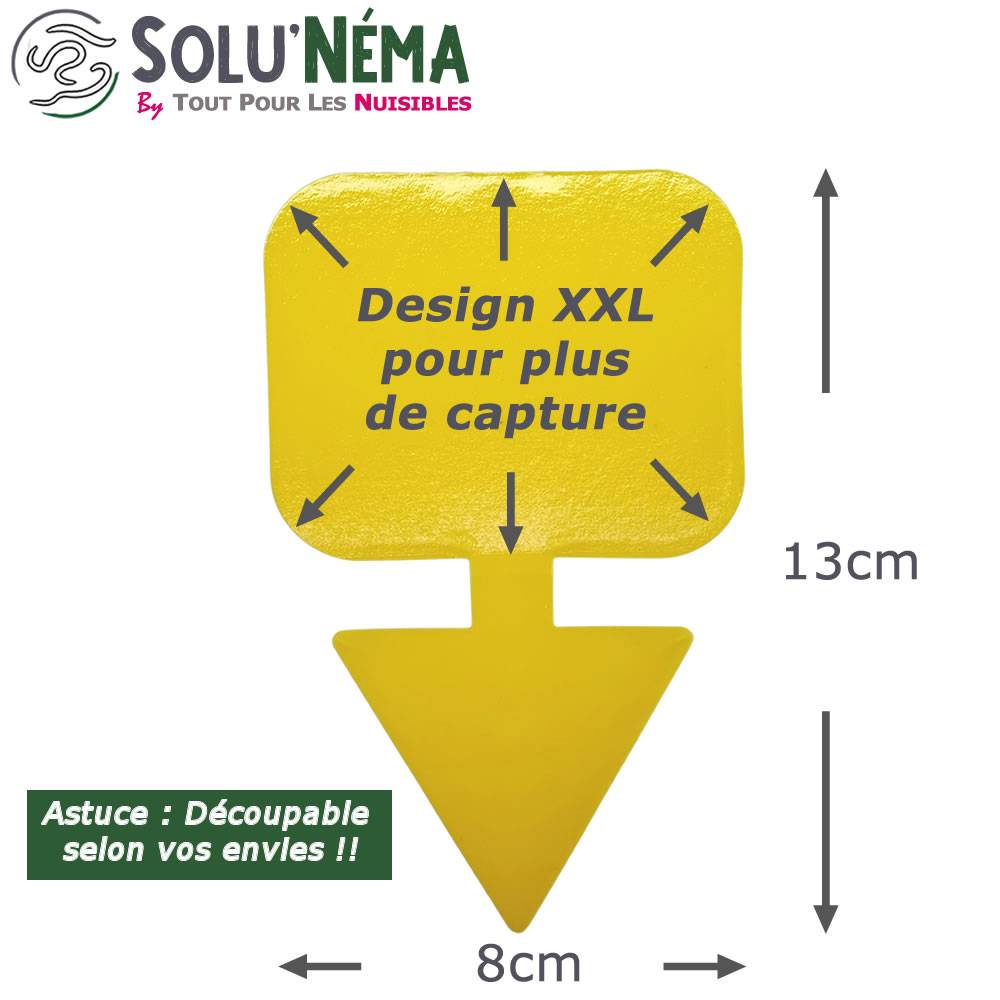 Solu'Néma - 10 Pièges Collants Jaunes pour Mouches du Terreau, Mouches des Fruits, Moucherons, Design XXL - Image 5