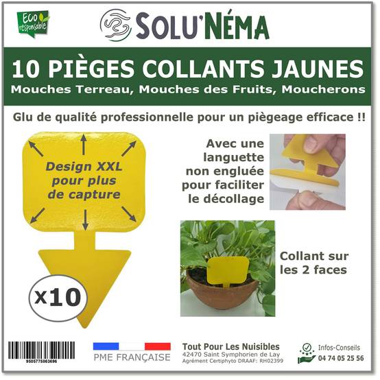 Solu'Néma - 10 Pièges Collants Jaunes pour Mouches du Terreau, Mouches des Fruits, Moucherons, Design XXL - Image 1