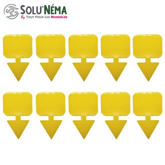 Solu'Néma - 10 Pièges Collants Jaunes pour Mouches du Terreau, Mouches des Fruits, Moucherons, Design XXL - Image 2