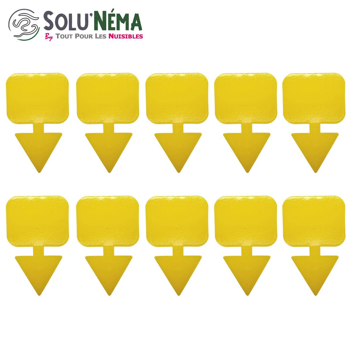 Solu'Néma - 10 Pièges Collants Jaunes pour Mouches du Terreau, Mouches des Fruits, Moucherons, Design XXL - Image 2