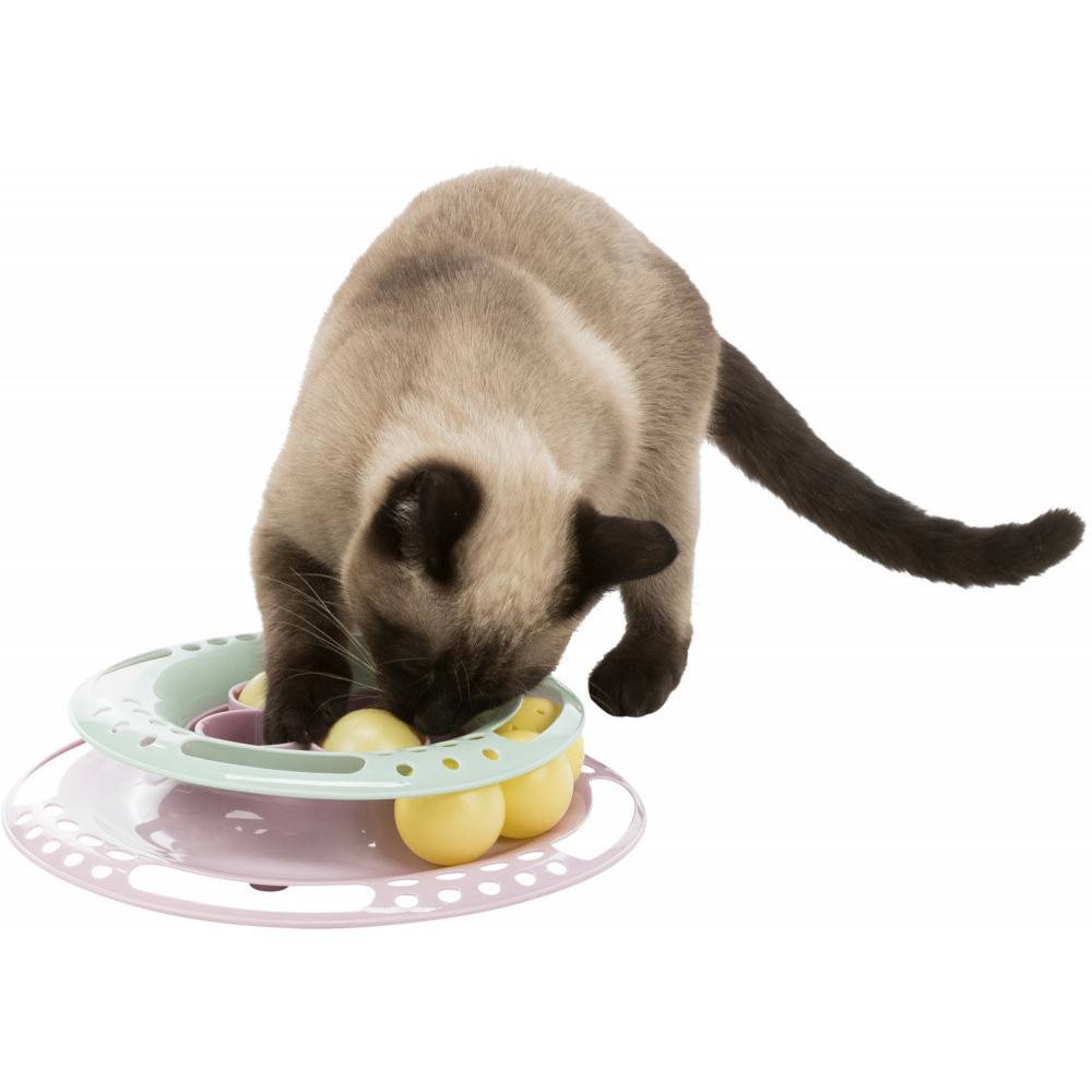 Trixie - Jeux pour chat Junior Kitten Circle, taille ø 24 cm - Imagen 2