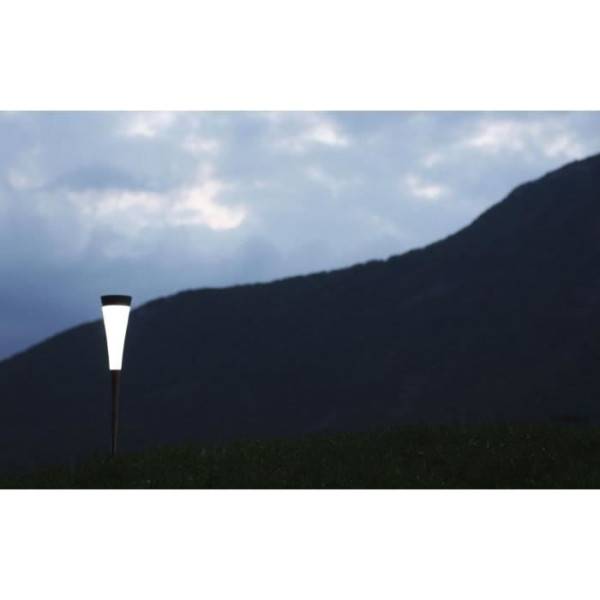MARKET24 - Lampe solaire de jardin Roseau - Watt & Home - Imagen 6