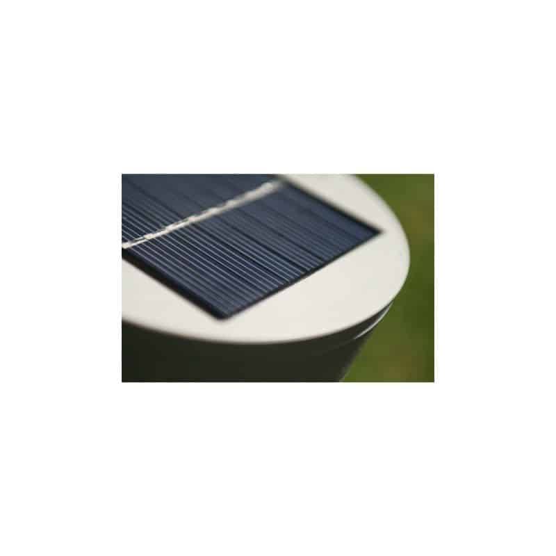 MARKET24 - Lampe solaire de jardin Roseau - Watt & Home - Imagen 3