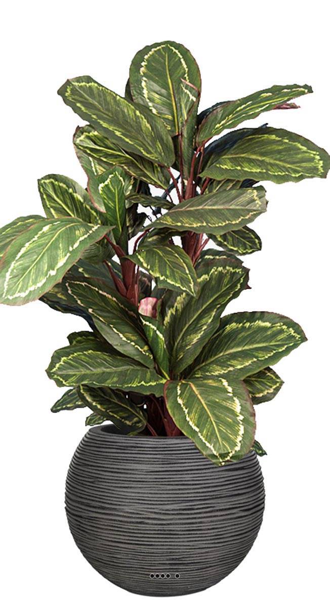 Artificielles - Maranta plante artificielle en pot H 104 cm très dense feuillage tissu - Imagen 2