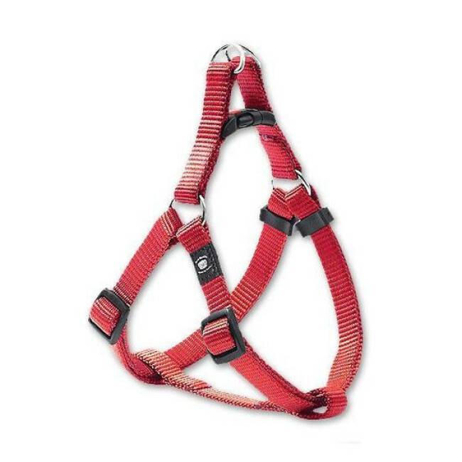 Harnais rouge Art Sportiv Plus Flamingo Taille S-M Largeur 20 mm Longueur 35/60 cm