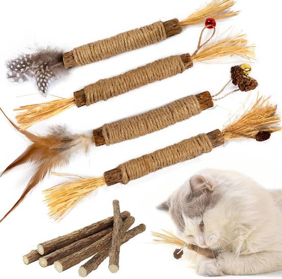 Bâtonnets Herbe à Chat