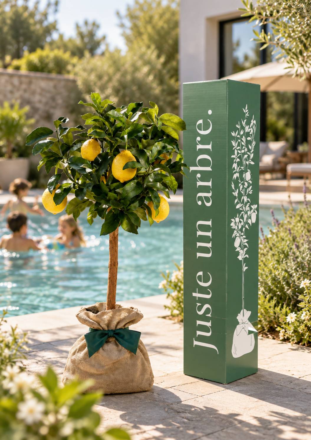 Juste Un Arbre - JUSTE UN ARBRE. – Citronnier des 4 Saisons | Idée cadeau pour naissance, mariage, anniversaire – Parfait pour culture en pot, en… - Image 2