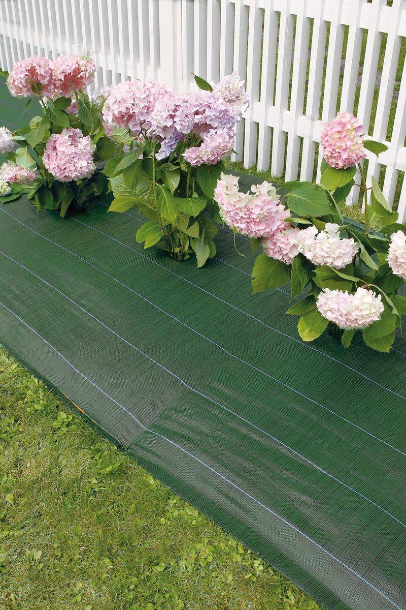 Nortène - Toile de paillage tissée en polypropylène "Weedsol" 1,50 x 25 m - Vert Nortene